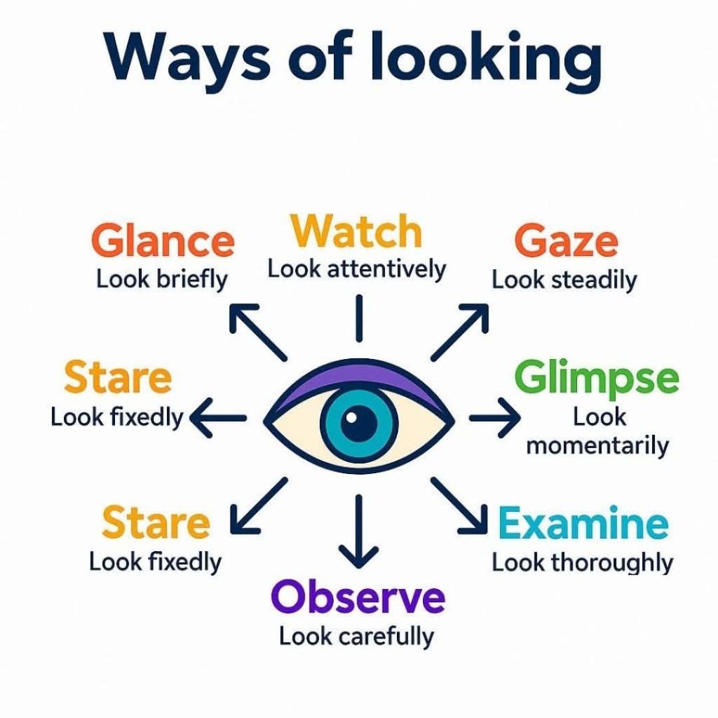 Learning English: ways of looking with meaning