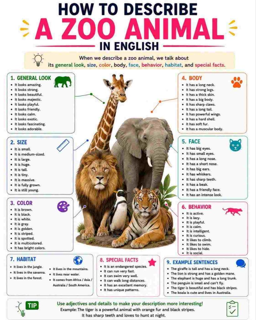 How to describe Animals in english